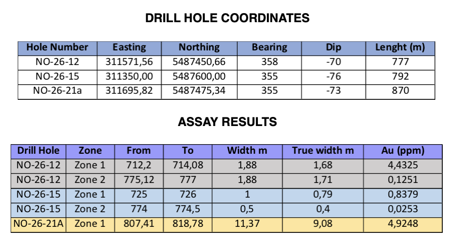 DRILL HOLE AND ASSAY RESULTS